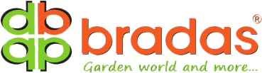Bradas