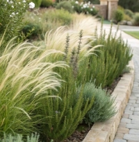 Декоративні злаки в сучасному ландшафтному дизайні: системний підхід, практика та довгостроковий результат