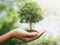 Формування кошторисів на послуги з благоустрою