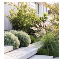 Клумби на відкритому сонці: як створити яскравий і стійкий квітник