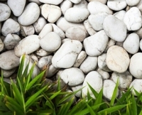 Мульчування корою та декоративні відсипки