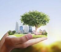 Озеленення міських територій: значення, методи та перспективи