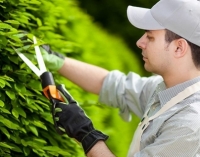 Пакети комплексного обслуговування