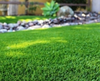 Сезонні знижки на посів газону з монтажем автополиву під ключ!