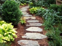 Тіневитривалі клумби