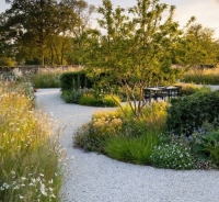 Тренди ландшафтного дизайну 2026: практичний погляд спеціаліста