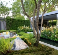 Тренди та антитренди в ландшафтному дизайні