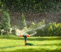Важливість автоматичного поливу на ділянці в сучасних кліматичних умовах