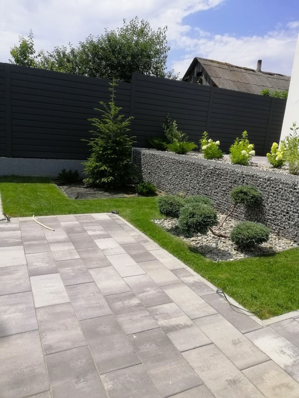 Озеленення приватної садиби м.Київ