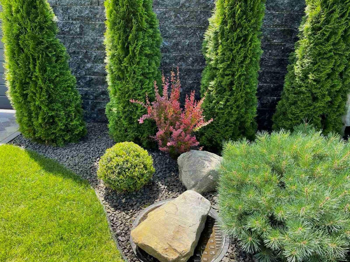 Озеленення приватної садиби м. Біла Церква