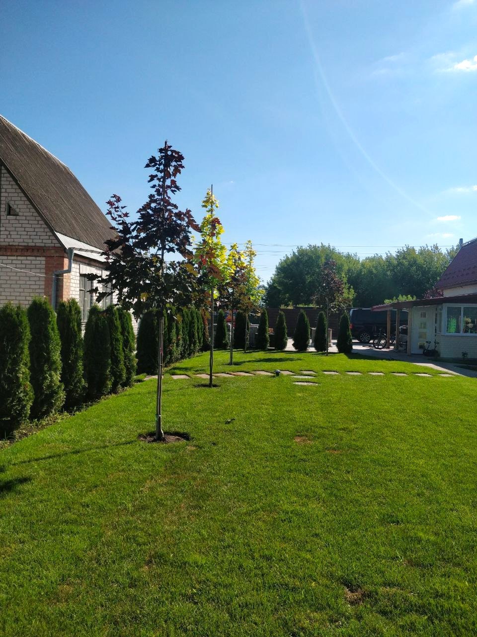 Озеленення приватної садиби м. Васильків