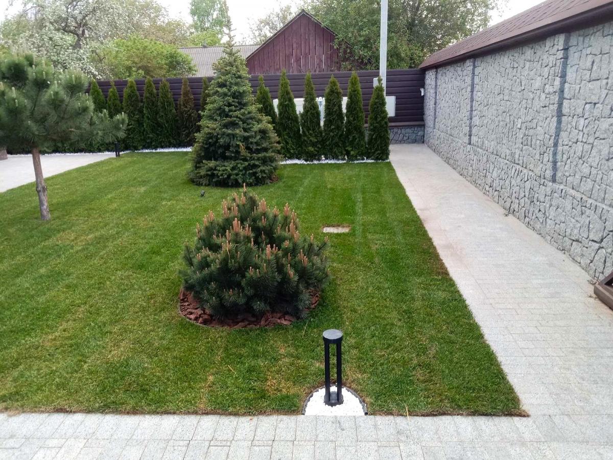 Озеленення приватної садиби м. Жашків