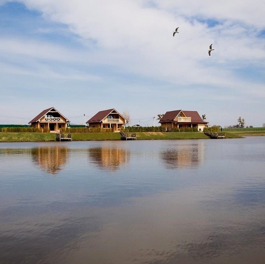 Озеленення комплексу відпочинку Родосвіт с. Житні Гори