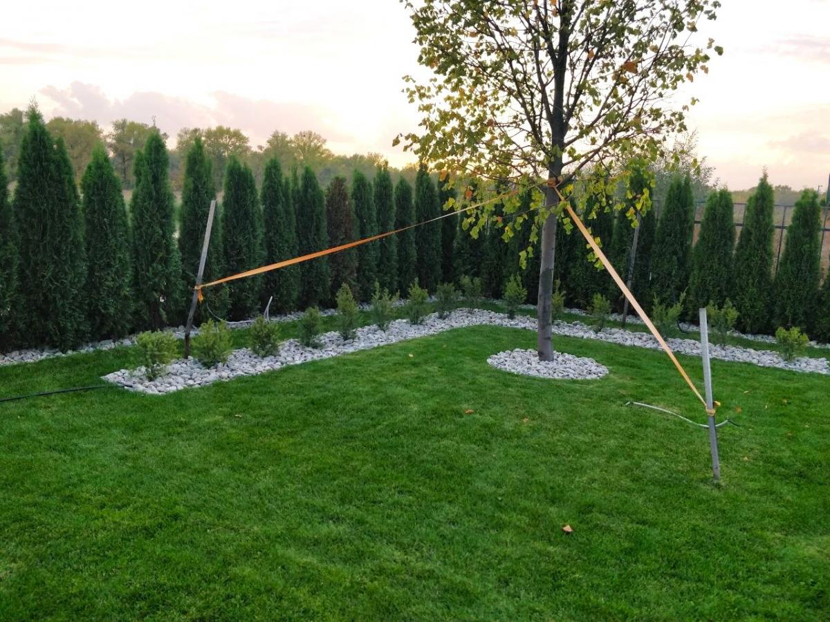 Озеленення приватної садиби м.Київ