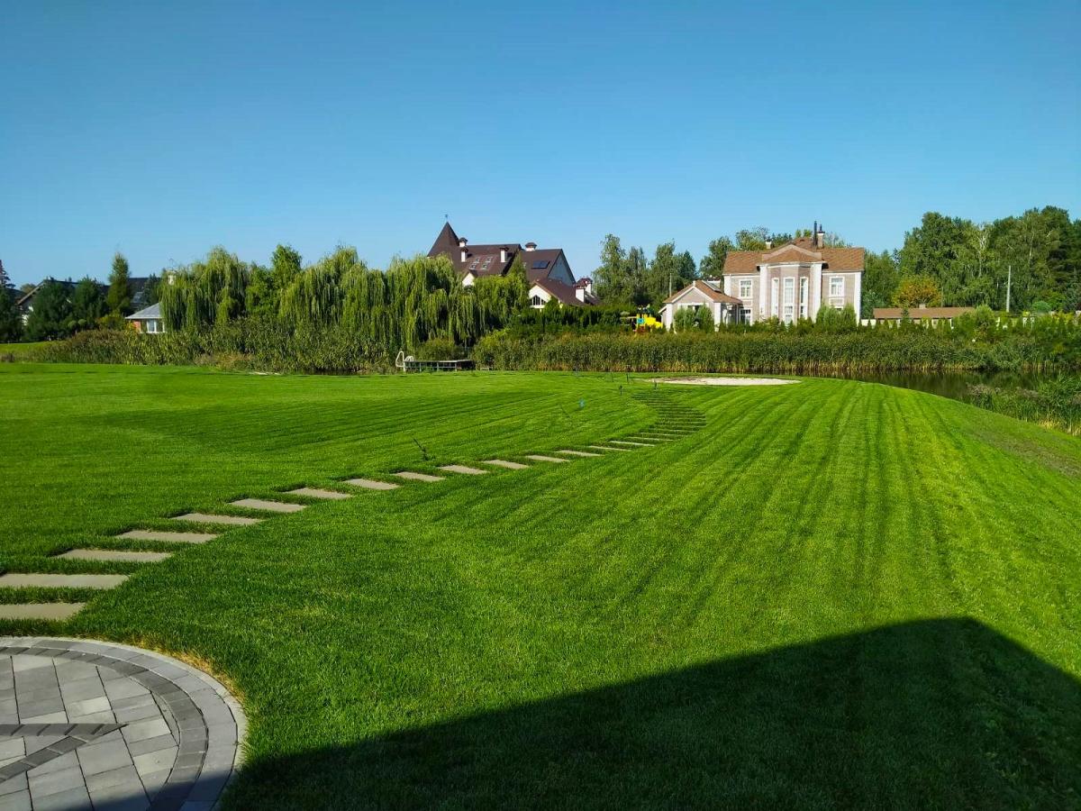 Озеленення приватної садиби с. Козин