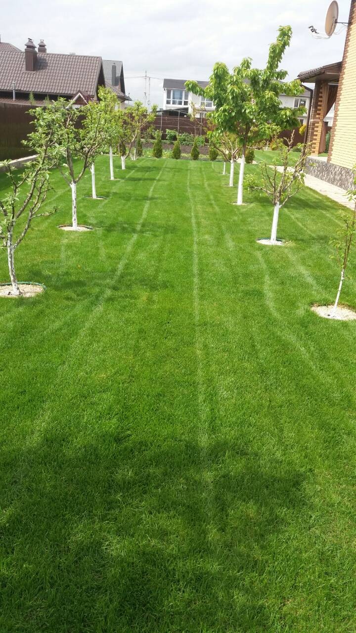 Київська обл. м. Біла  Церква, Будівельників