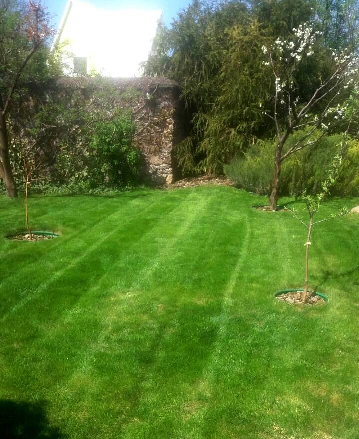 Приватний будинок,  м. Біла Церква, Річна