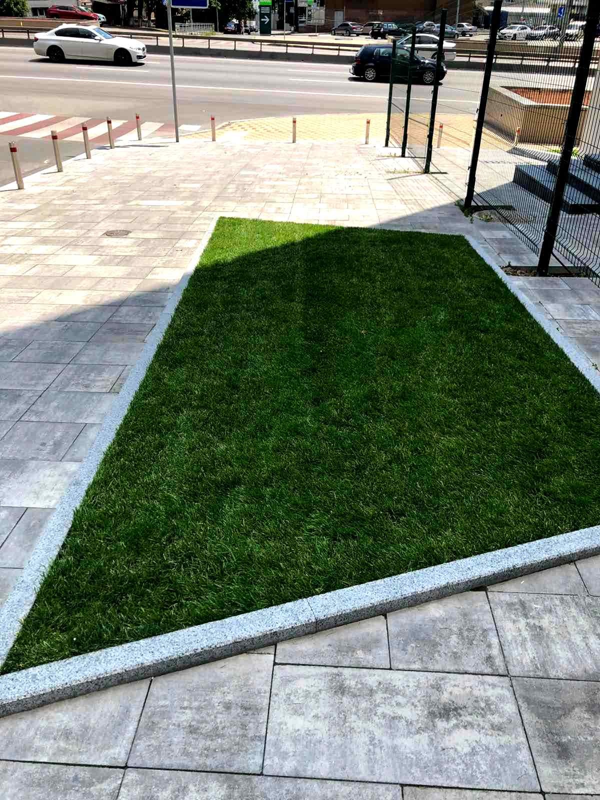 Озеленення біля офісного центру м. Київ