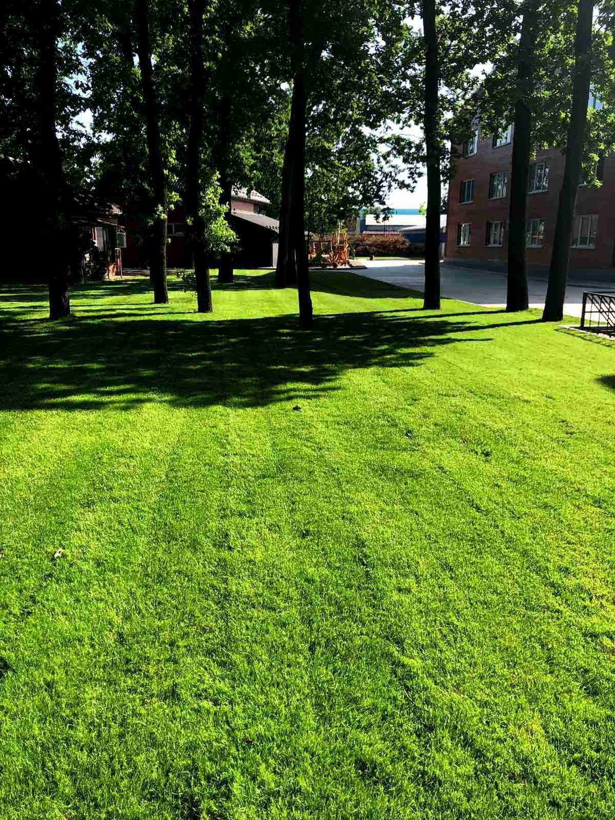 Озеленення території заводу