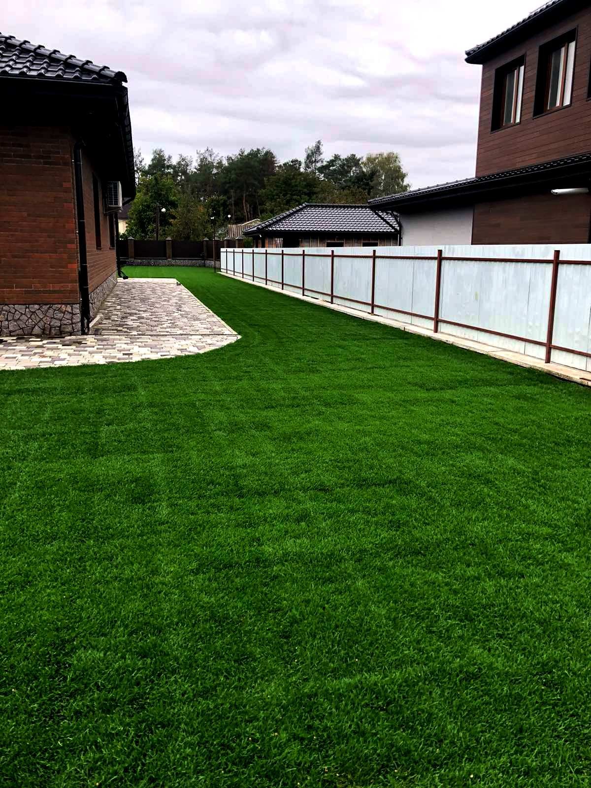 Озеленення приватної садиби м.Київ