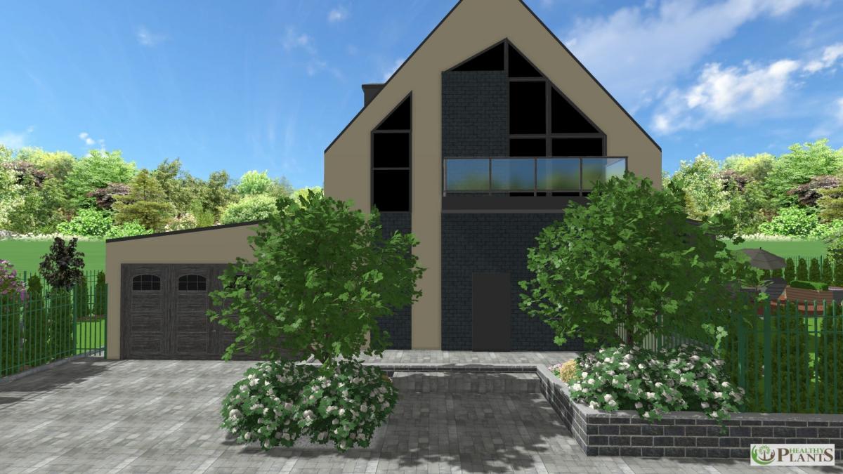 Створення ландшафтного дизайну території приватного будинку КМ Віллаго (Villaggo)