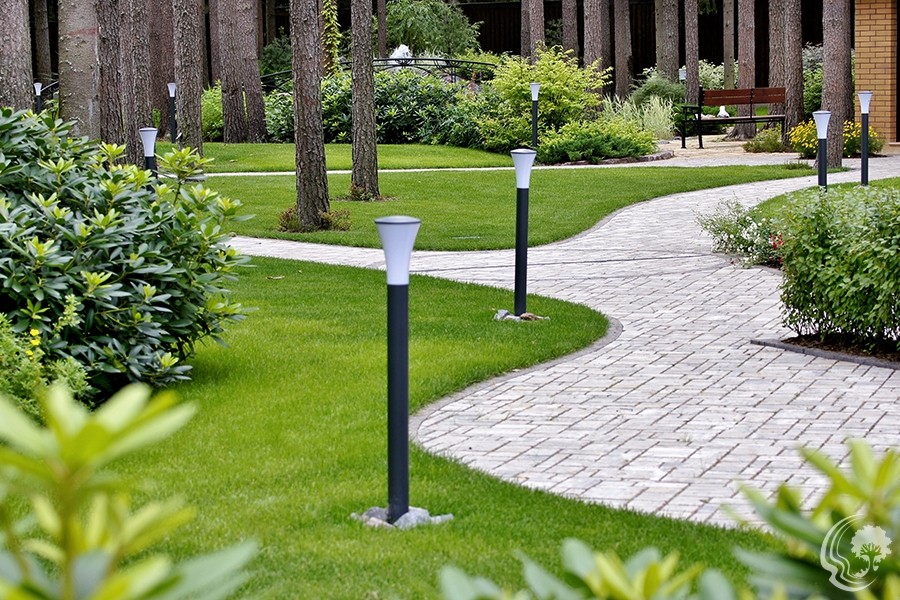 Благоустрій та озеленення території