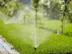 Автоматичний полив