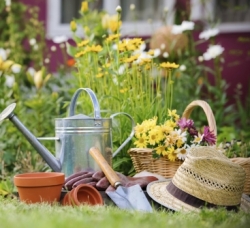 Пакети комплексного обслуговування