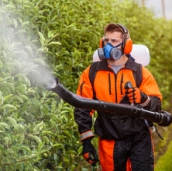 Обробка рослин від шкідників