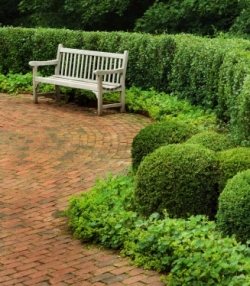 Озеленення