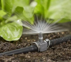 Проектант автоматичного поливу