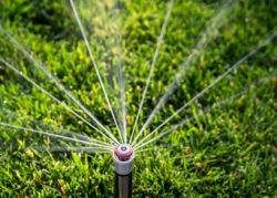 Догляд за автоматичним поливом