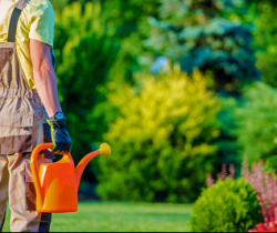 Комплексний догляд за територією