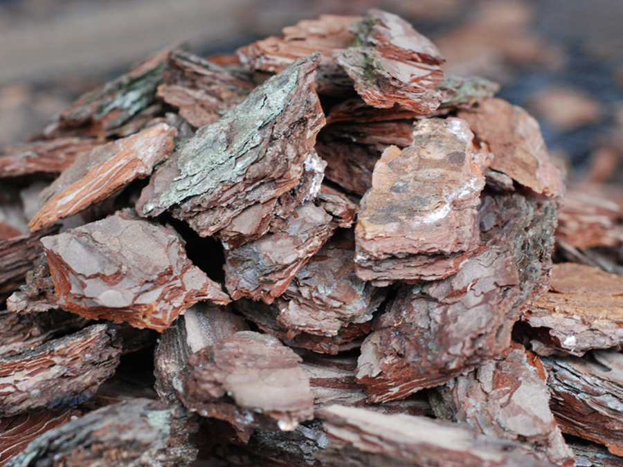 Мульчування корою