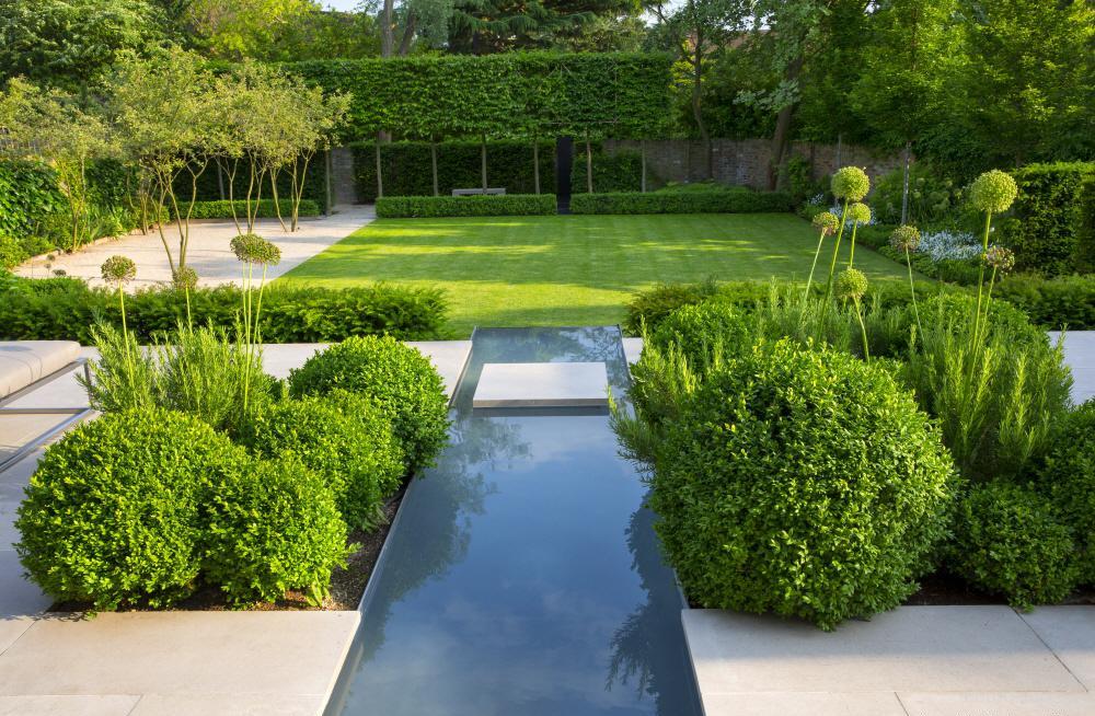 Проектний відділ