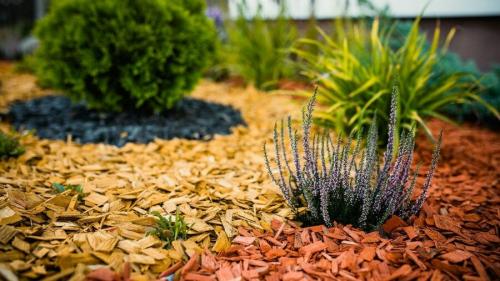 Мульчування корою