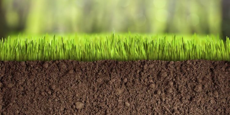 Планування грунту