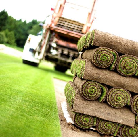 Укладання газону