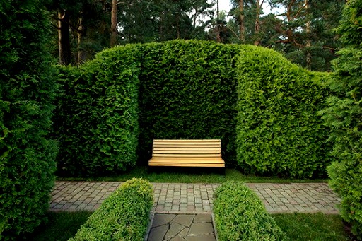 Озеленення