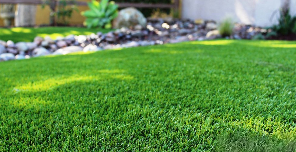 Посів газону