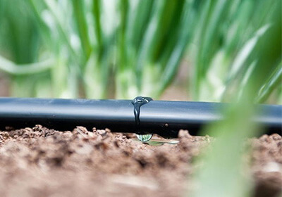 Крапельний полив