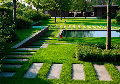 Дендроплан