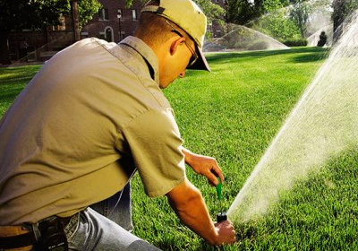 Дендроплан