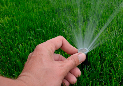 Дендроплан