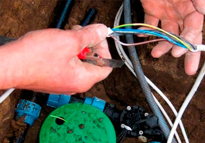 Дендроплан