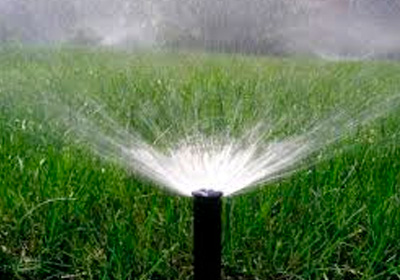 Дендроплан