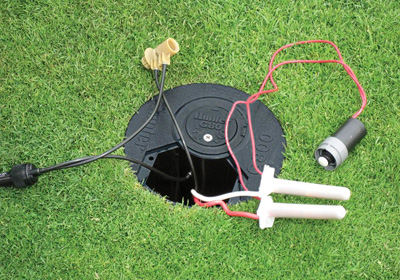 Дендроплан