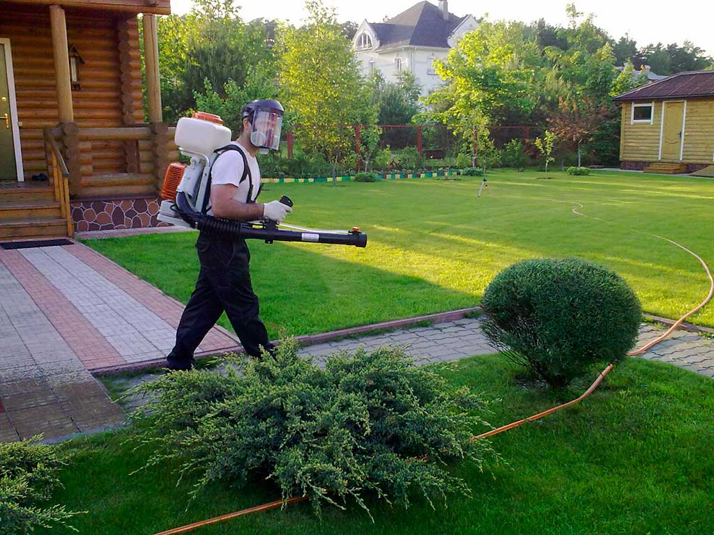 Обробка гозонів від хвороб