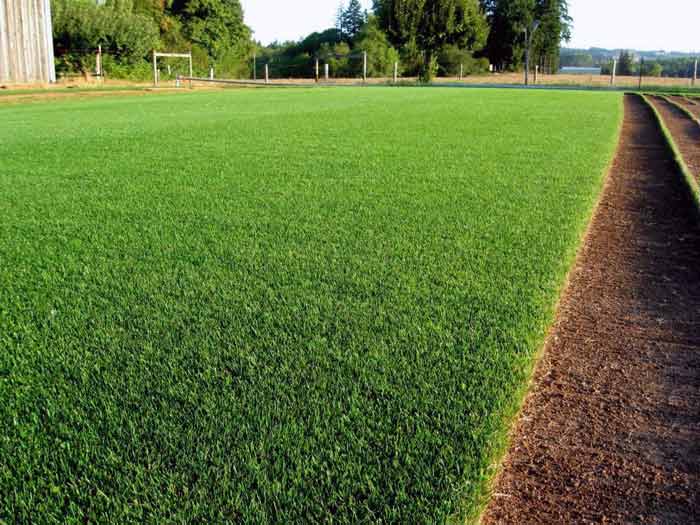 Посів газону