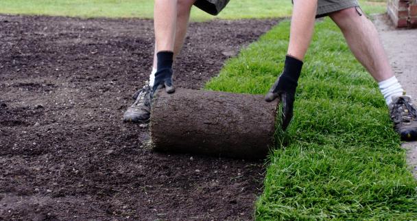 Укладання газону